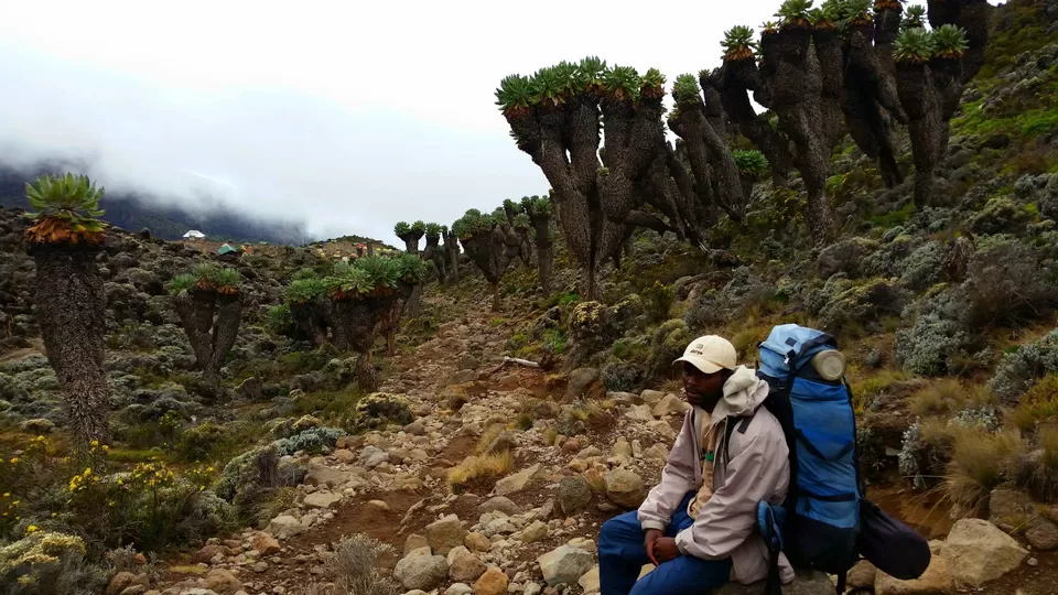 Photo of Mount Kilimanjaro by Francis Tapon