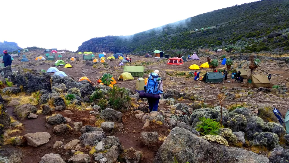 Photo of Mount Kilimanjaro by Francis Tapon