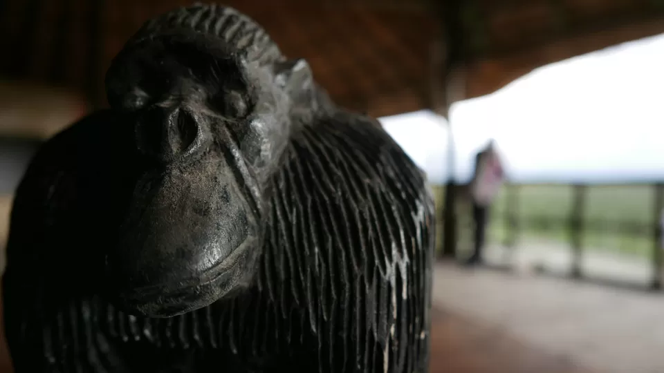 Photo of Uganda by Francis Tapon