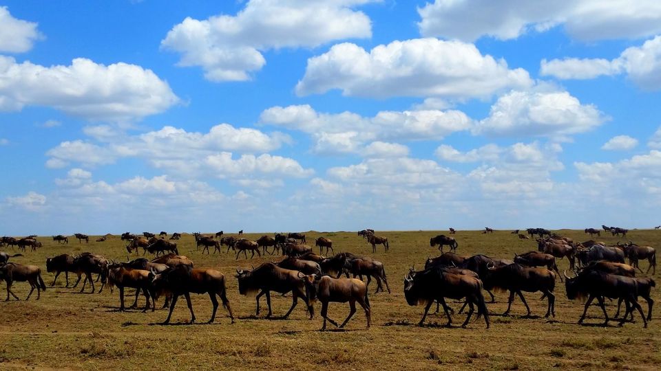 Photo of Explore Southern Africa with Expert Guide 10/13 by Francis Tapon