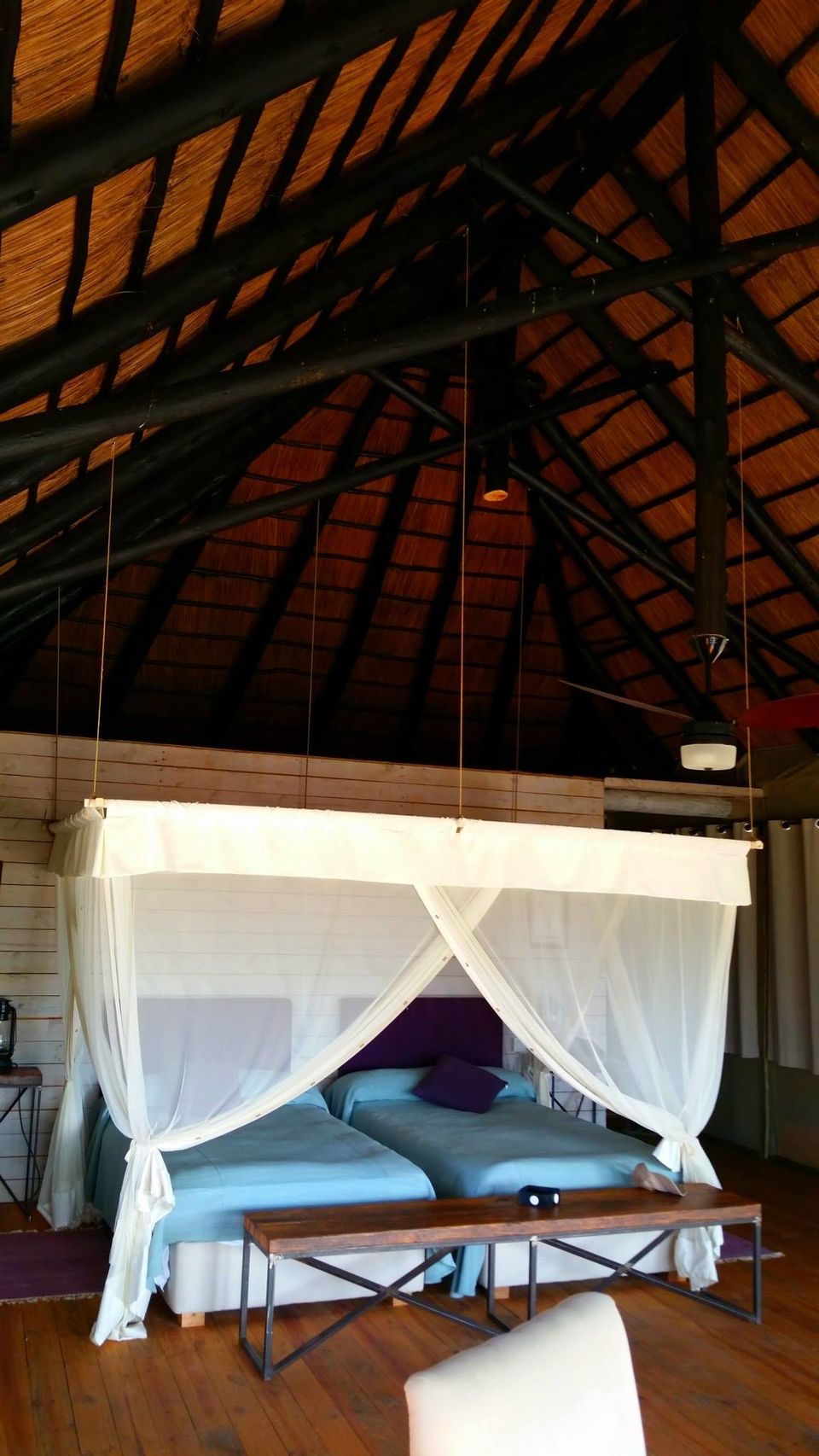 Photo of Explore Southern Africa with Expert Guide 13/13 by Francis Tapon