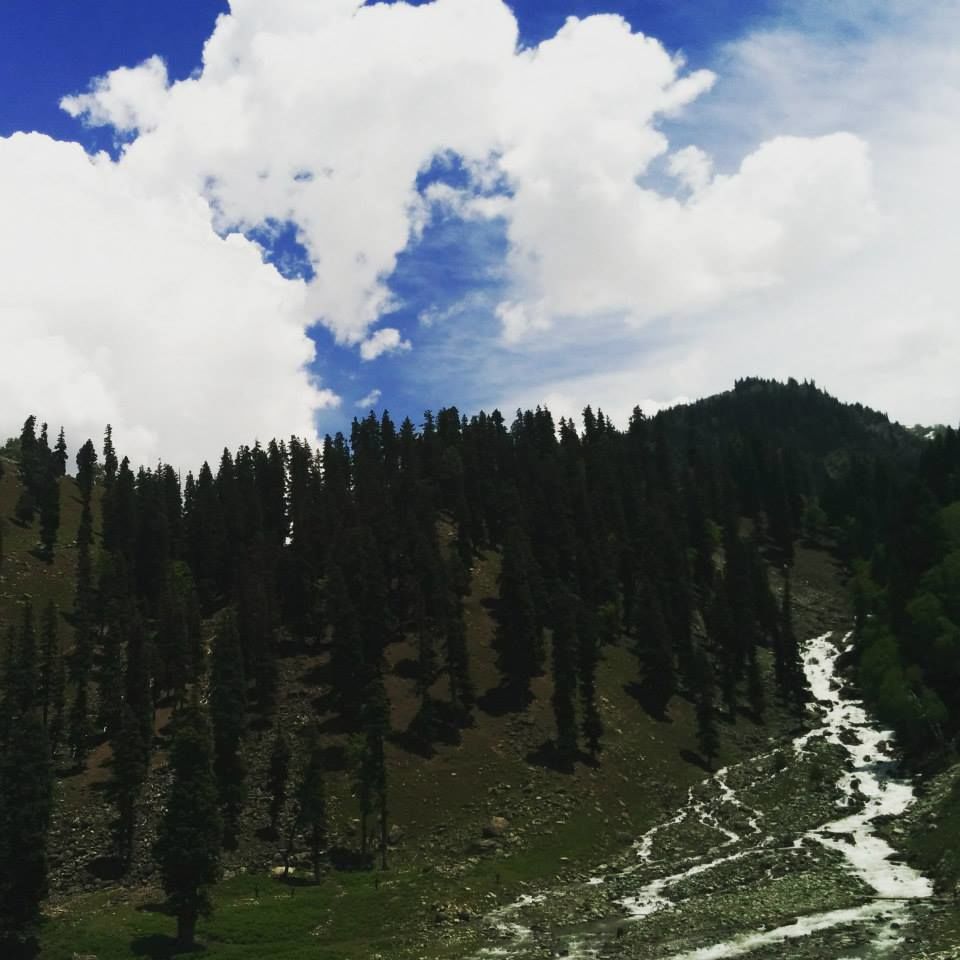 Photo of Journey to heaven - Kashmir by Gopika Gulati