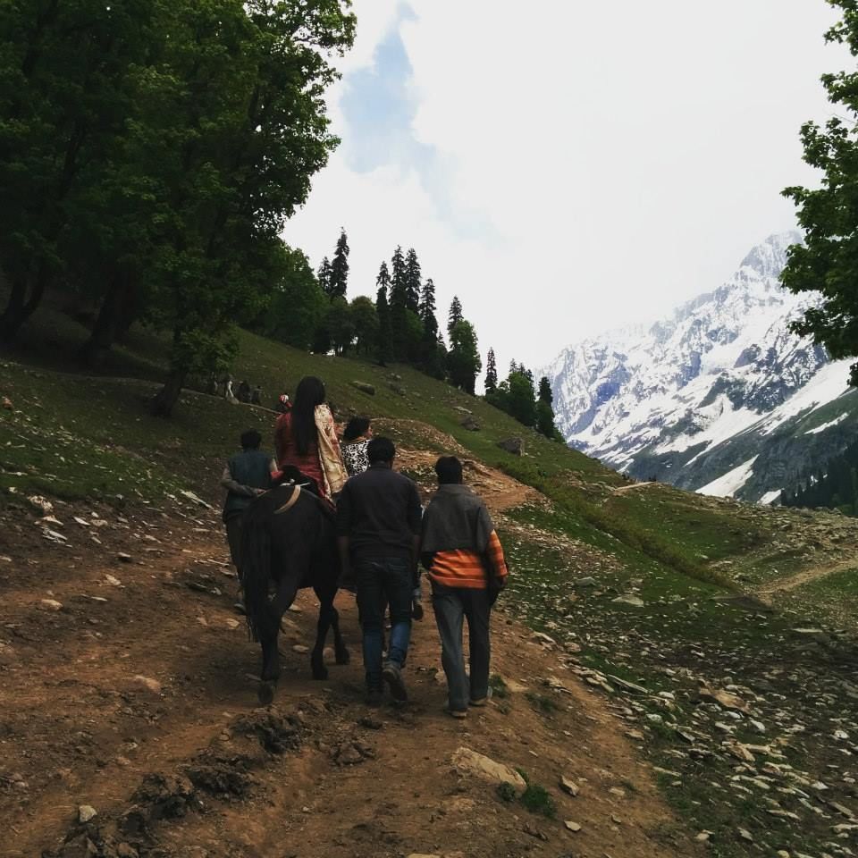 Photo of Journey to heaven - Kashmir by Gopika Gulati