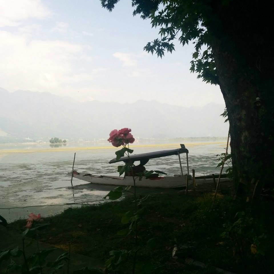Photo of Journey to heaven - Kashmir by Gopika Gulati