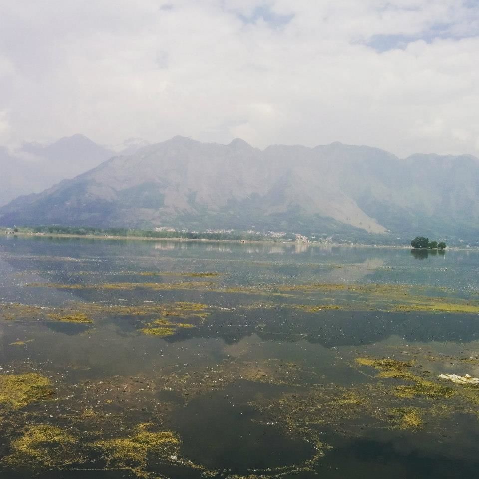 Photo of Journey to heaven - Kashmir by Gopika Gulati