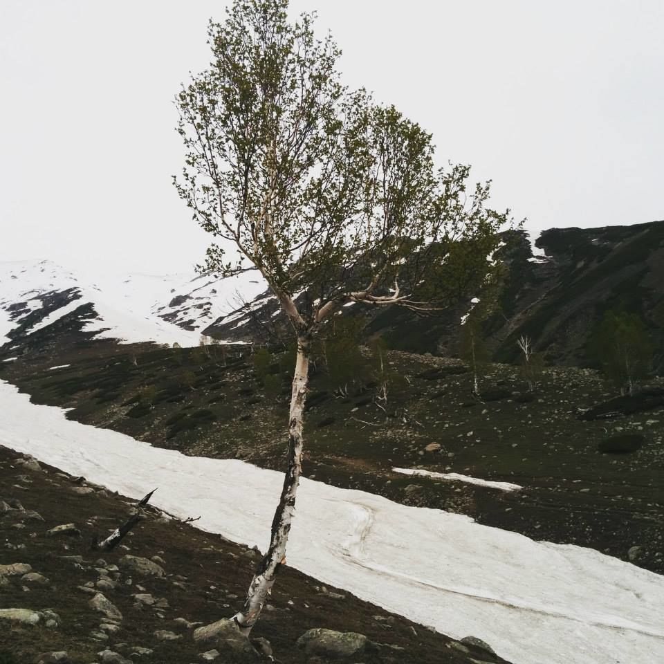 Photo of Journey to heaven - Kashmir by Gopika Gulati