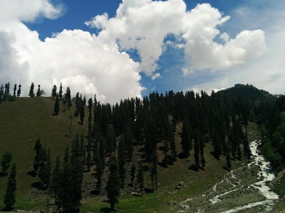 Photo of Journey to heaven - Kashmir by Gopika Gulati