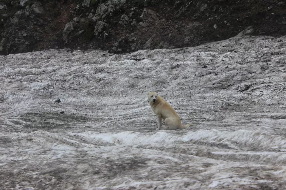 Photo of Dal Lake, Srinagar by Sarthak Bansal