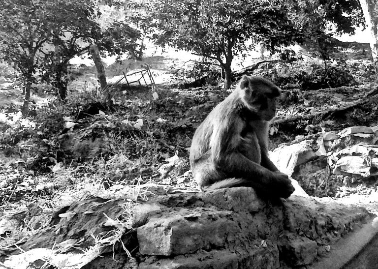 Photo of Rishikesh-A Photologue 4/6 by Jeh Eh