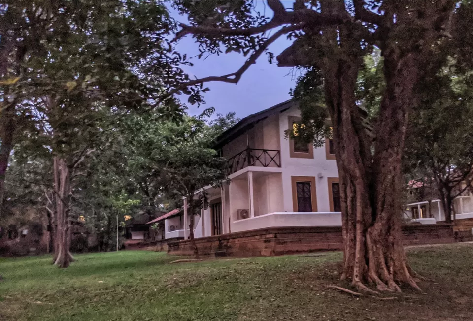 Photo of Cinnamon Lodge Habarana, Habarana Roundabout, Habarana, Sri Lanka by thesunnyside