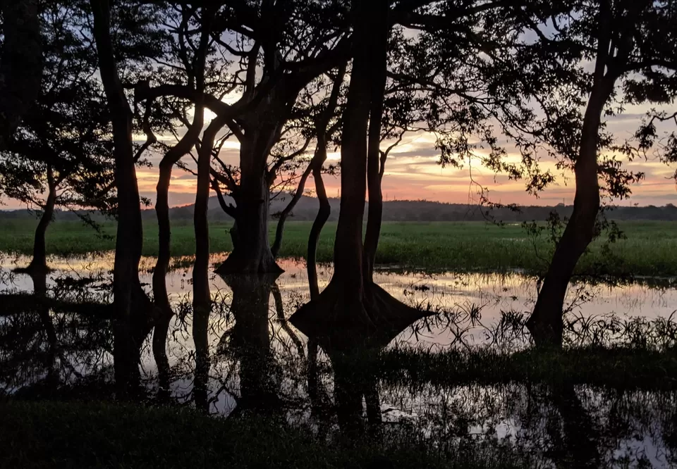 Photo of Cinnamon Lodge Habarana, Habarana Roundabout, Habarana, Sri Lanka by thesunnyside