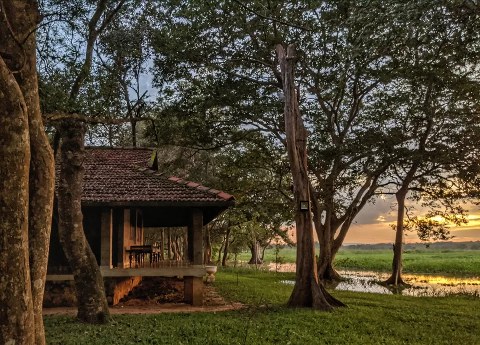 Photo of Cinnamon Lodge Habarana, Habarana Roundabout, Habarana, Sri Lanka by thesunnyside