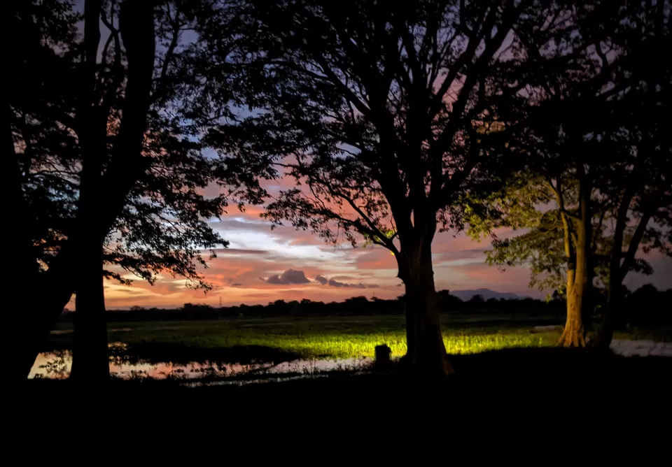 Photo of Cinnamon Lodge Habarana, Habarana Roundabout, Habarana, Sri Lanka by thesunnyside