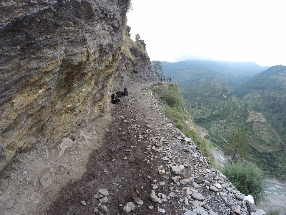 Photo of Our First Himalayan Trek: RUPIN PASS 5/26 by Nitika Sharma