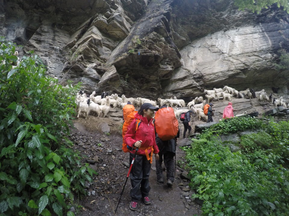 Photo of Our First Himalayan Trek: RUPIN PASS 12/26 by Nitika Sharma