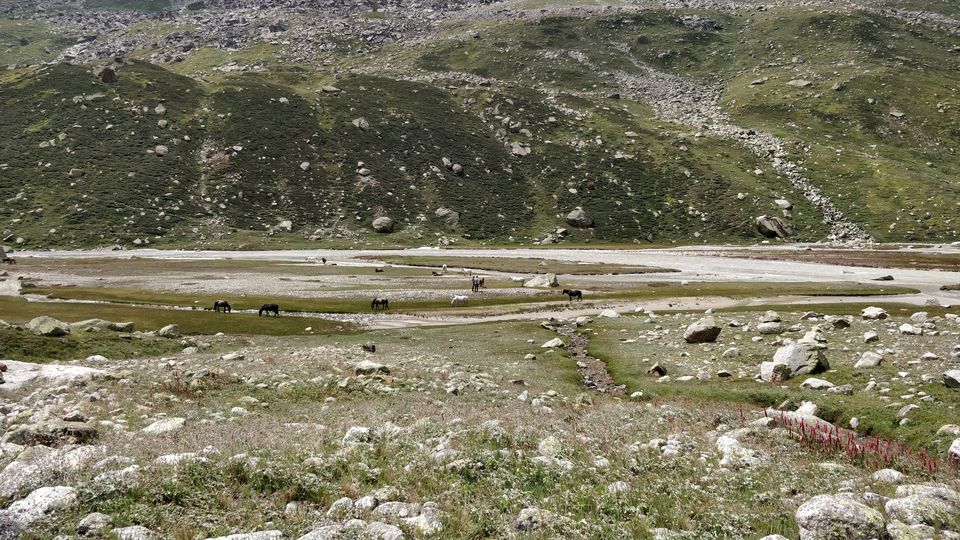 Photo of PIN PARVATI PASS: Our Rendezvous with verdant valleys and the hazel-colored Himalayas 15/36 by Nitika Sharma