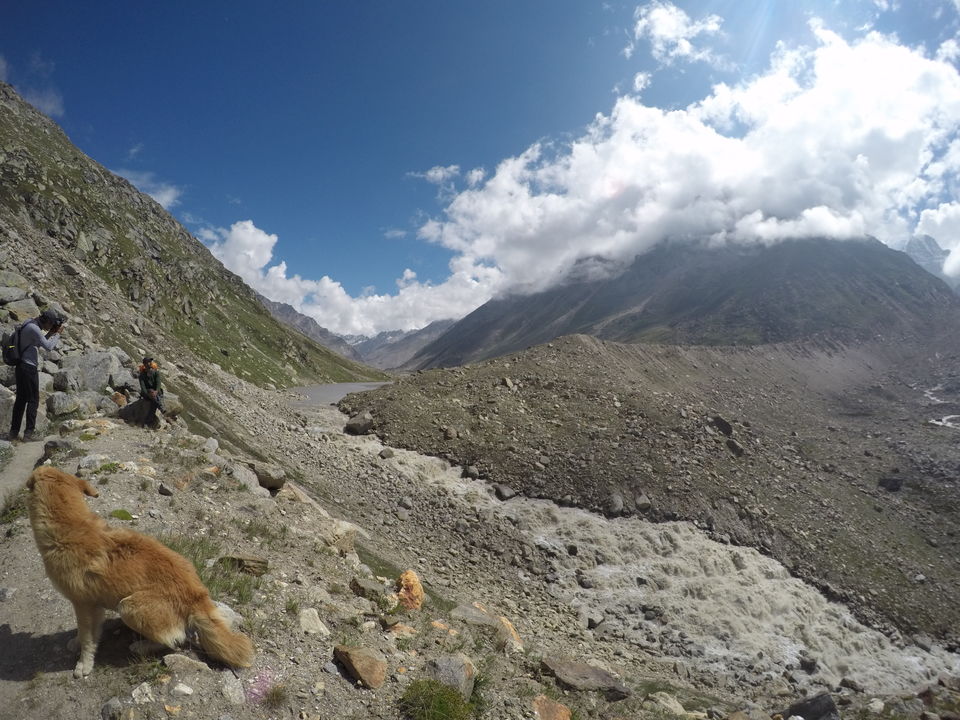 Photo of PIN PARVATI PASS: Our Rendezvous with verdant valleys and the hazel-colored Himalayas 17/36 by Nitika Sharma