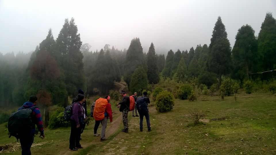 Photo of Sandakphu Memoir 3/13 by Jayanth Bunty