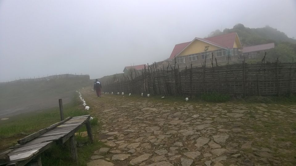 Photo of Sandakphu Memoir 4/13 by Jayanth Bunty