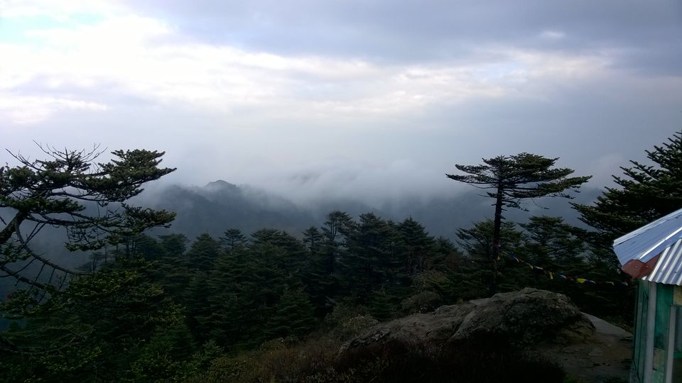 Photo of Sandakphu Memoir 11/13 by Jayanth Bunty