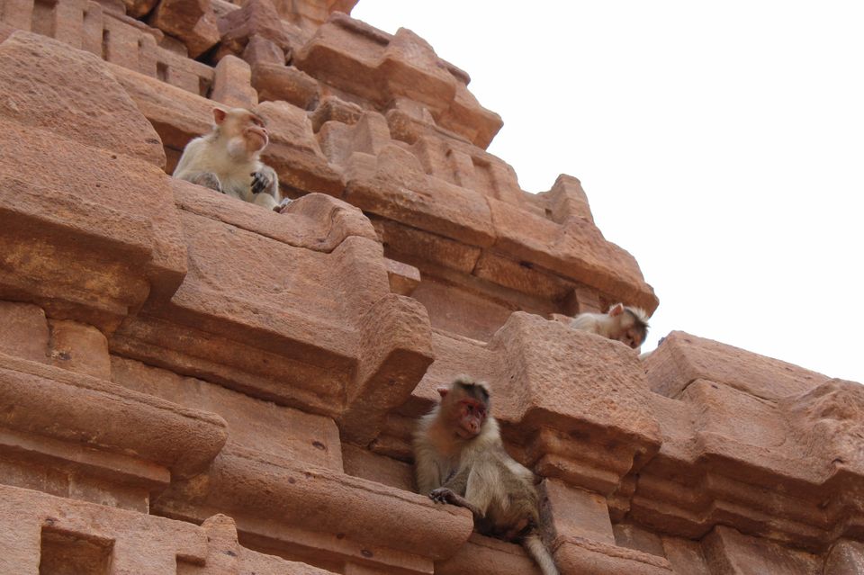 Photo of Badami - Hidden gem of South India! by UnderMyPinkUmbrella