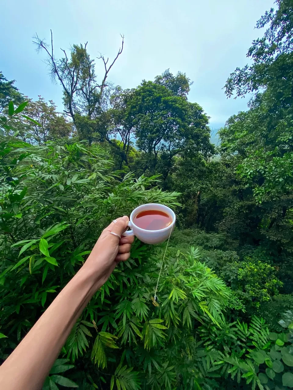 Photo of Coorg, Karnataka, India by UnderMyPinkUmbrella