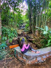 Photo of My Experience at the Tamara Coorg, The Finest Place to Stay In All of Karnataka! by UnderMyPinkUmbrella