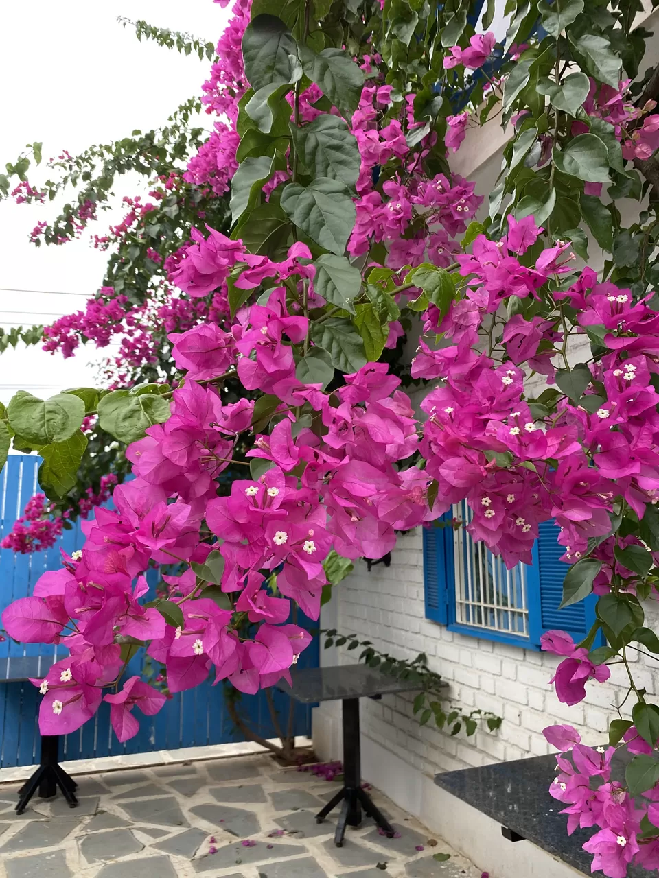 Photo of Santorini in India! by UnderMyPinkUmbrella