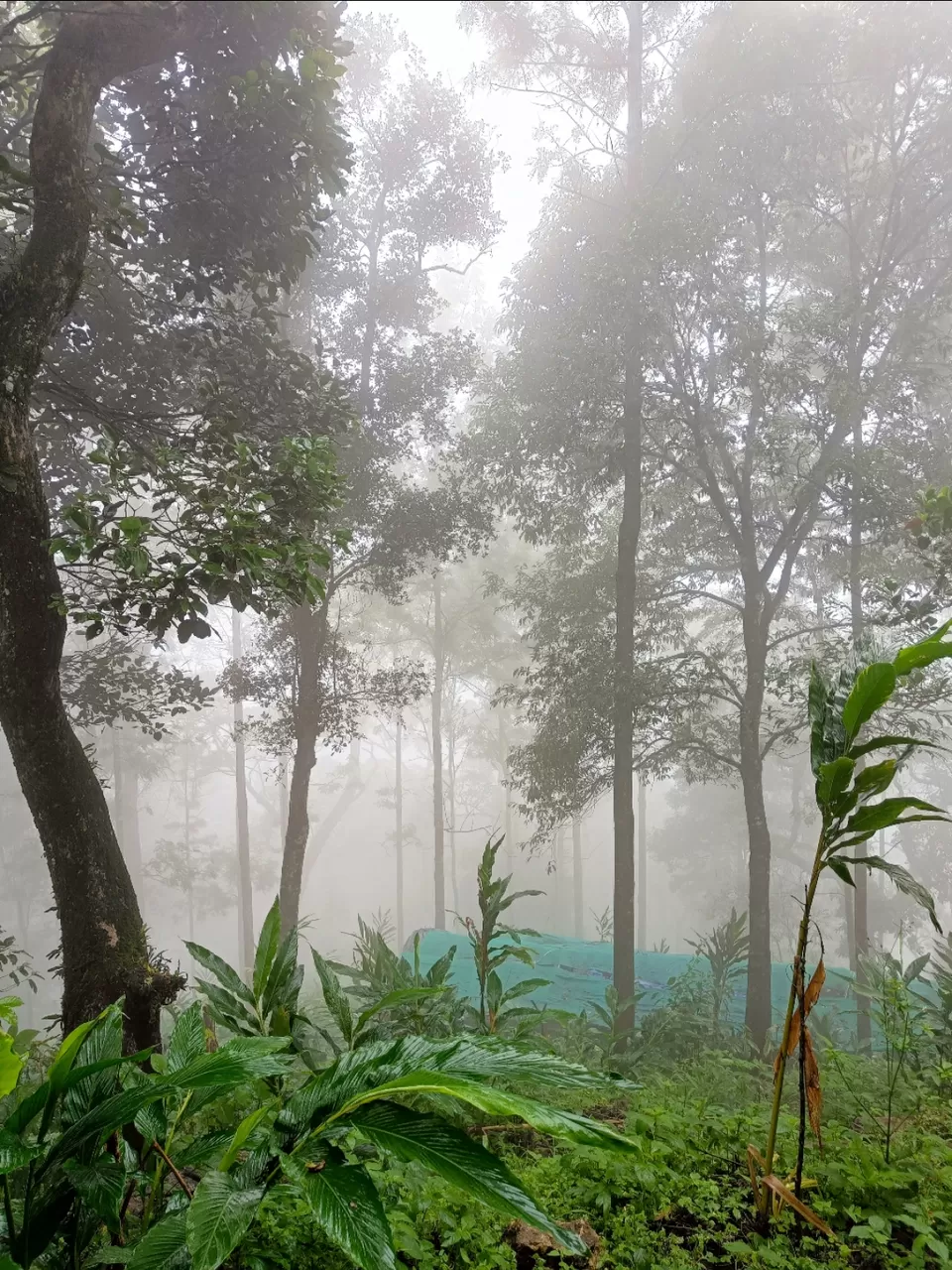 Photo of Kolukkumalai Sunrise point by Arjun s