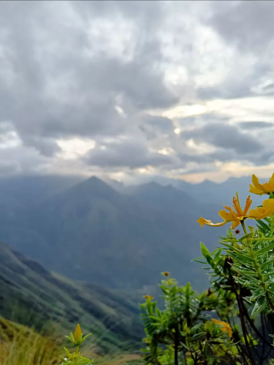Photo of Kolukkumalai Sunrise point by Arjun s