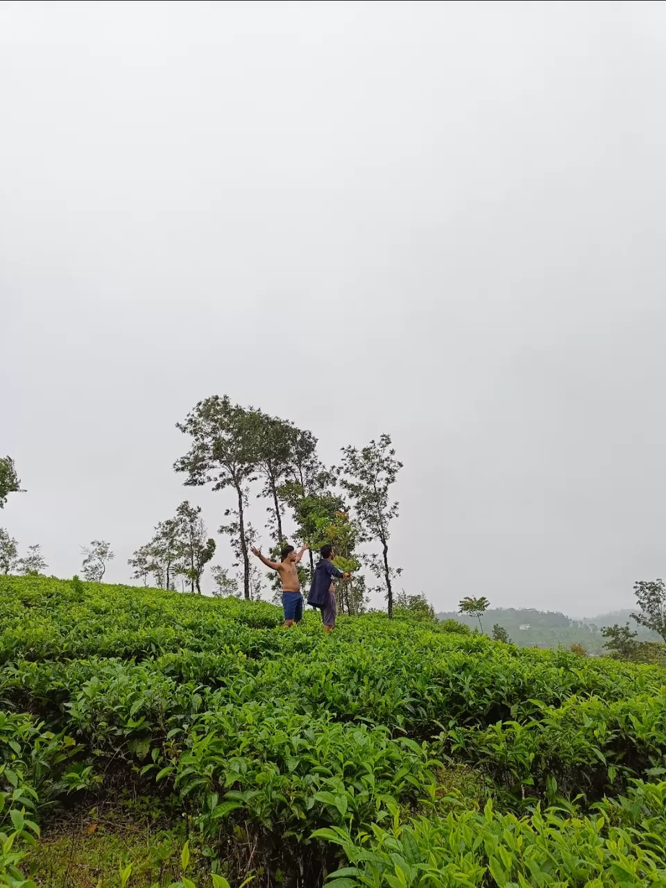 Photo of Kolukkumalai Sunrise point by Arjun s