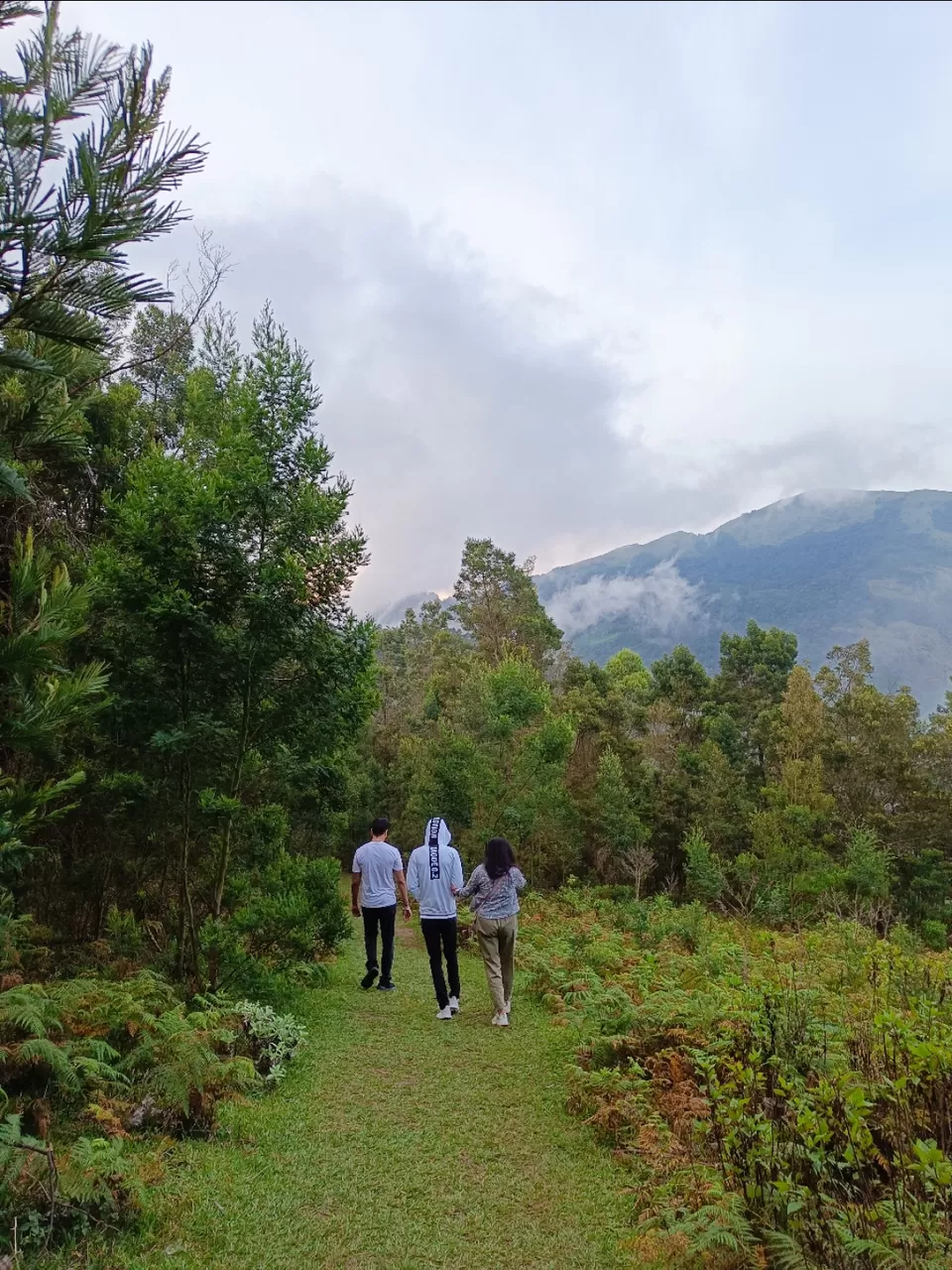 Photo of Kolukkumalai Sunrise point by Arjun s