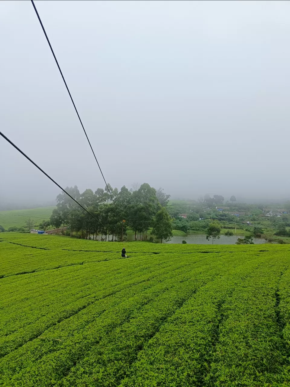 Photo of Kolukkumalai Sunrise point by Arjun s