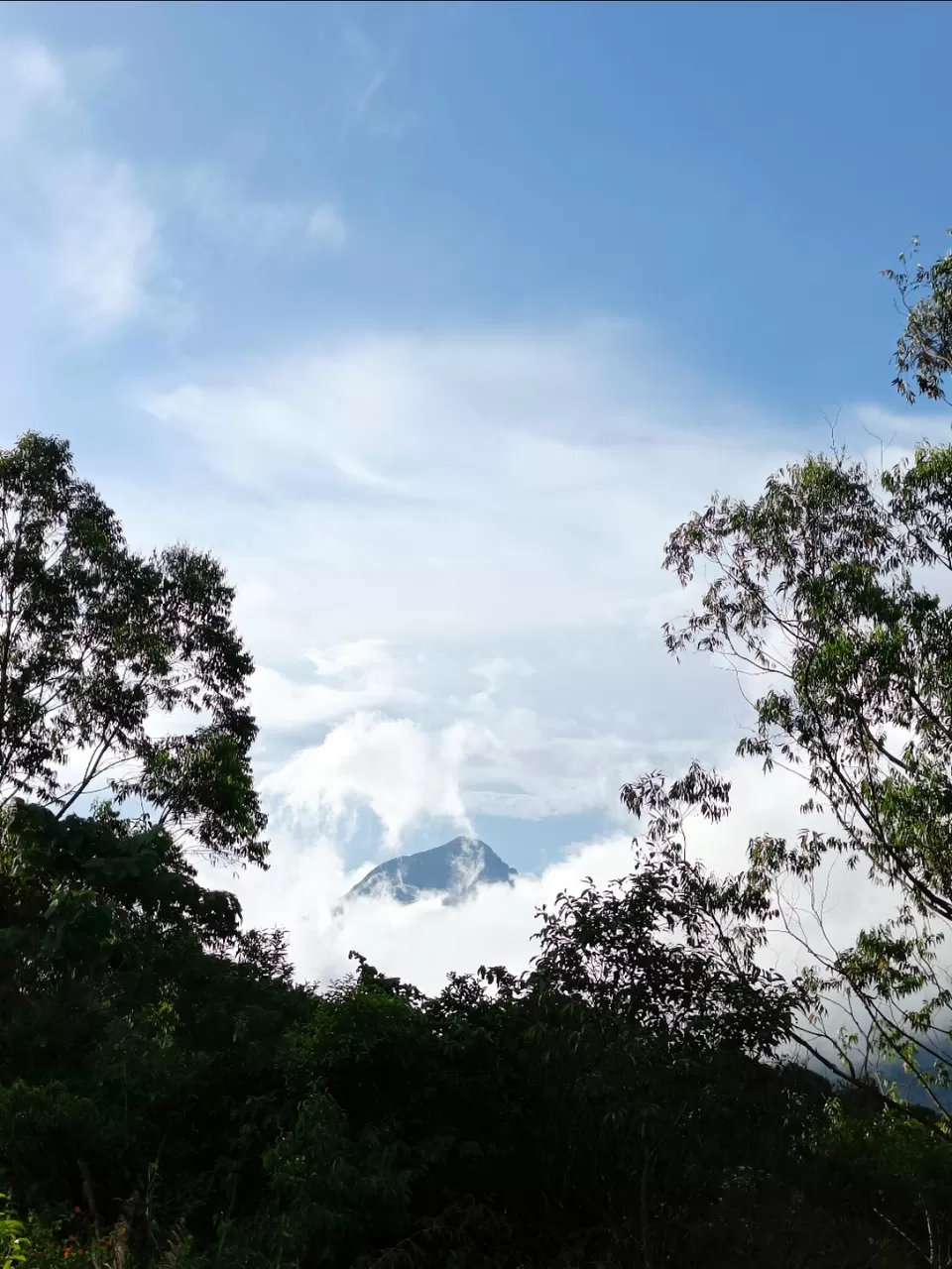 Photo of Kolukkumalai Sunrise point by Arjun s