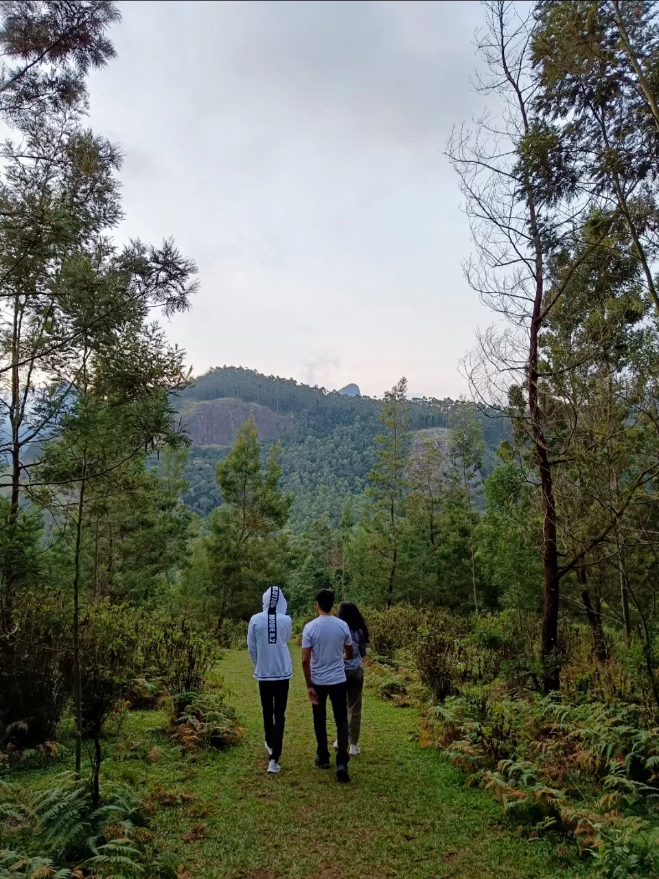 Photo of Kolukkumalai Sunrise point by Arjun s