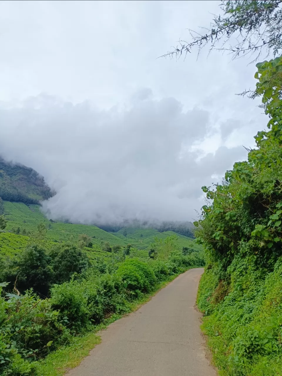 Photo of Kolukkumalai Sunrise point by Arjun s