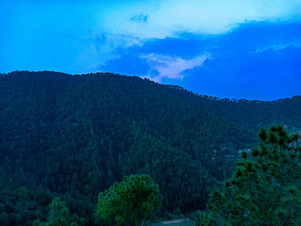 Photo of Shimla-Kufri in 1 and half days 🏞️ by Ruchika Dadhich