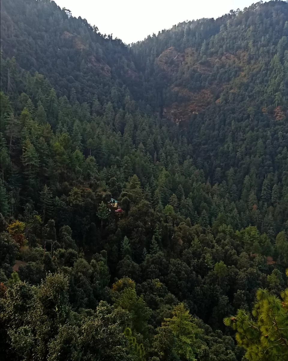 Photo of Shimla-Kufri in 1 and half days 🏞️ by Ruchika Dadhich