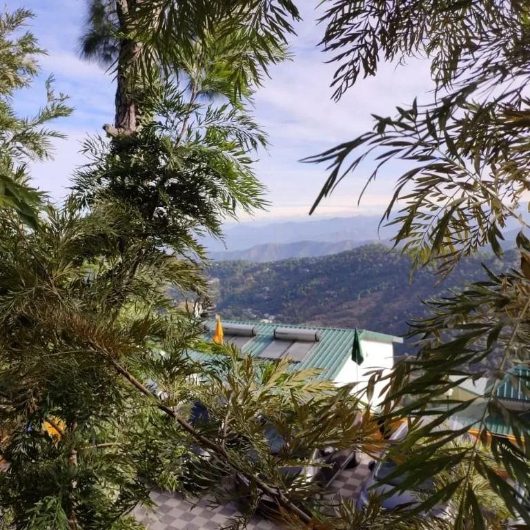 Photo of Kasauli Exotica, Garkhal - Madhiyana Road, Kasauli, Himachal Pradesh, India by soup