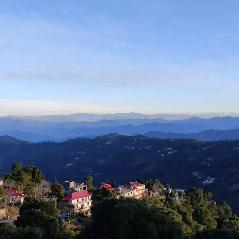 Photo of Kasauli Exotica, Garkhal - Madhiyana Road, Kasauli, Himachal Pradesh, India by soup