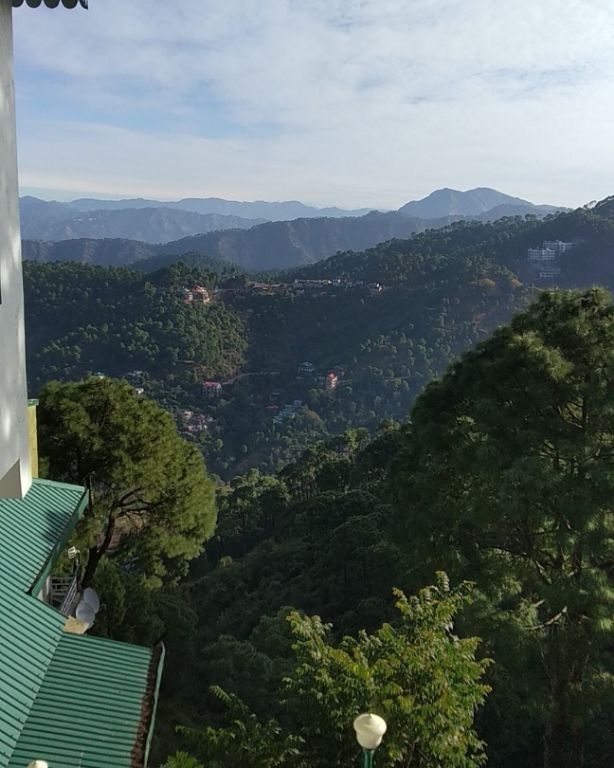 Photo of Kasauli Exotica, Garkhal - Madhiyana Road, Kasauli, Himachal Pradesh, India by soup