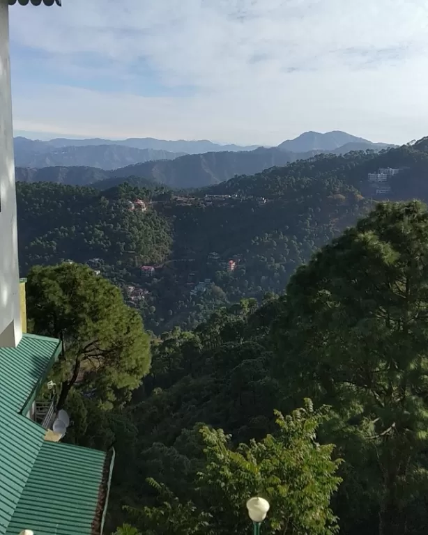 Photo of Kasauli Exotica, Garkhal - Madhiyana Road, Kasauli, Himachal Pradesh, India by soup