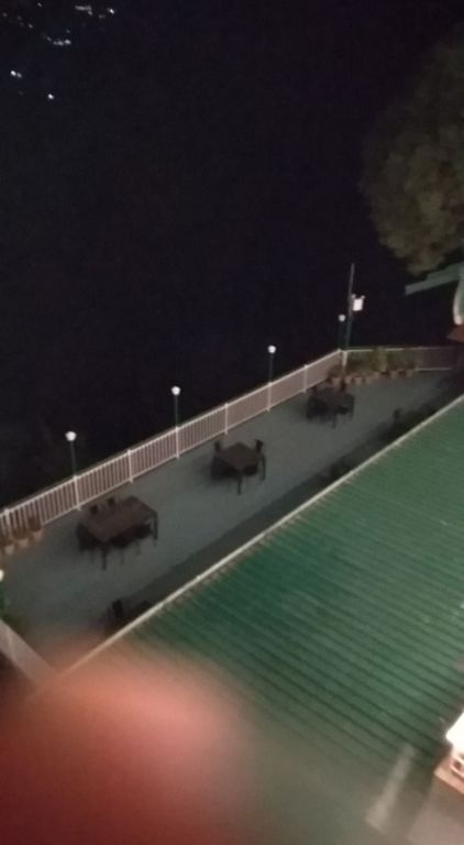 Photo of Kasauli Exotica, Garkhal - Madhiyana Road, Kasauli, Himachal Pradesh, India by soup