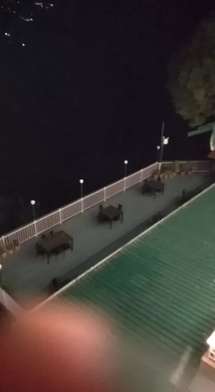 Photo of Kasauli Exotica, Garkhal - Madhiyana Road, Kasauli, Himachal Pradesh, India by soup