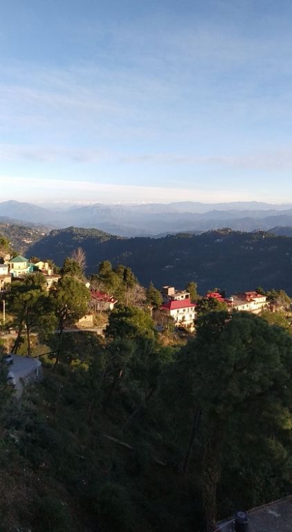 Photo of Kasauli Exotica, Garkhal - Madhiyana Road, Kasauli, Himachal Pradesh, India by soup