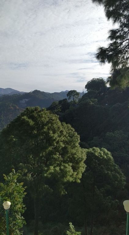 Photo of Kasauli Exotica, Garkhal - Madhiyana Road, Kasauli, Himachal Pradesh, India by soup
