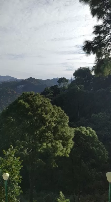 Photo of Kasauli Exotica, Garkhal - Madhiyana Road, Kasauli, Himachal Pradesh, India by soup