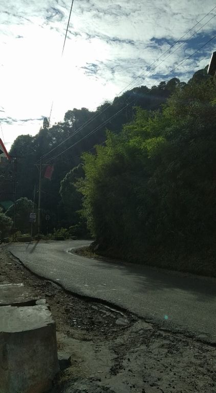 Photo of Kasauli Exotica, Garkhal - Madhiyana Road, Kasauli, Himachal Pradesh, India by soup