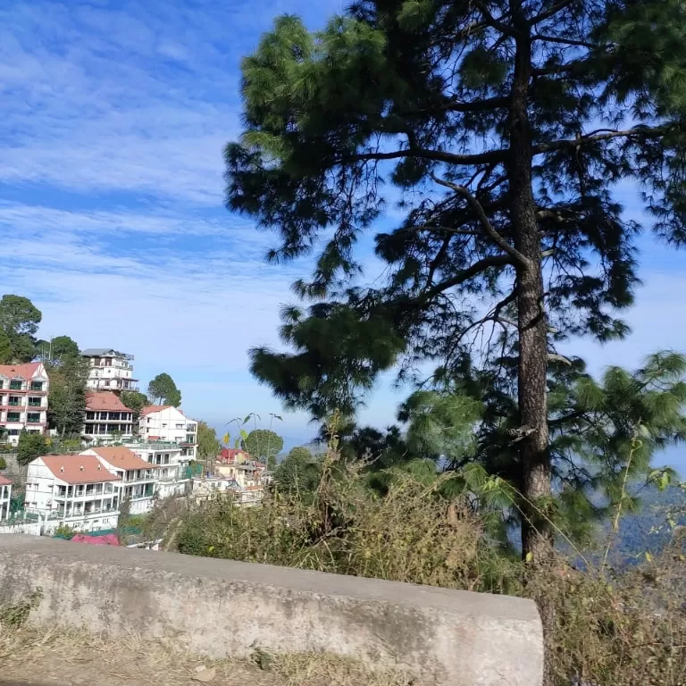 Photo of Kasauli Exotica, Garkhal - Madhiyana Road, Kasauli, Himachal Pradesh, India by soup
