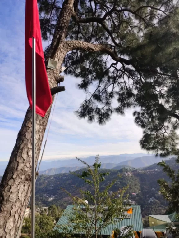 Photo of Kasauli Exotica, Garkhal - Madhiyana Road, Kasauli, Himachal Pradesh, India by soup